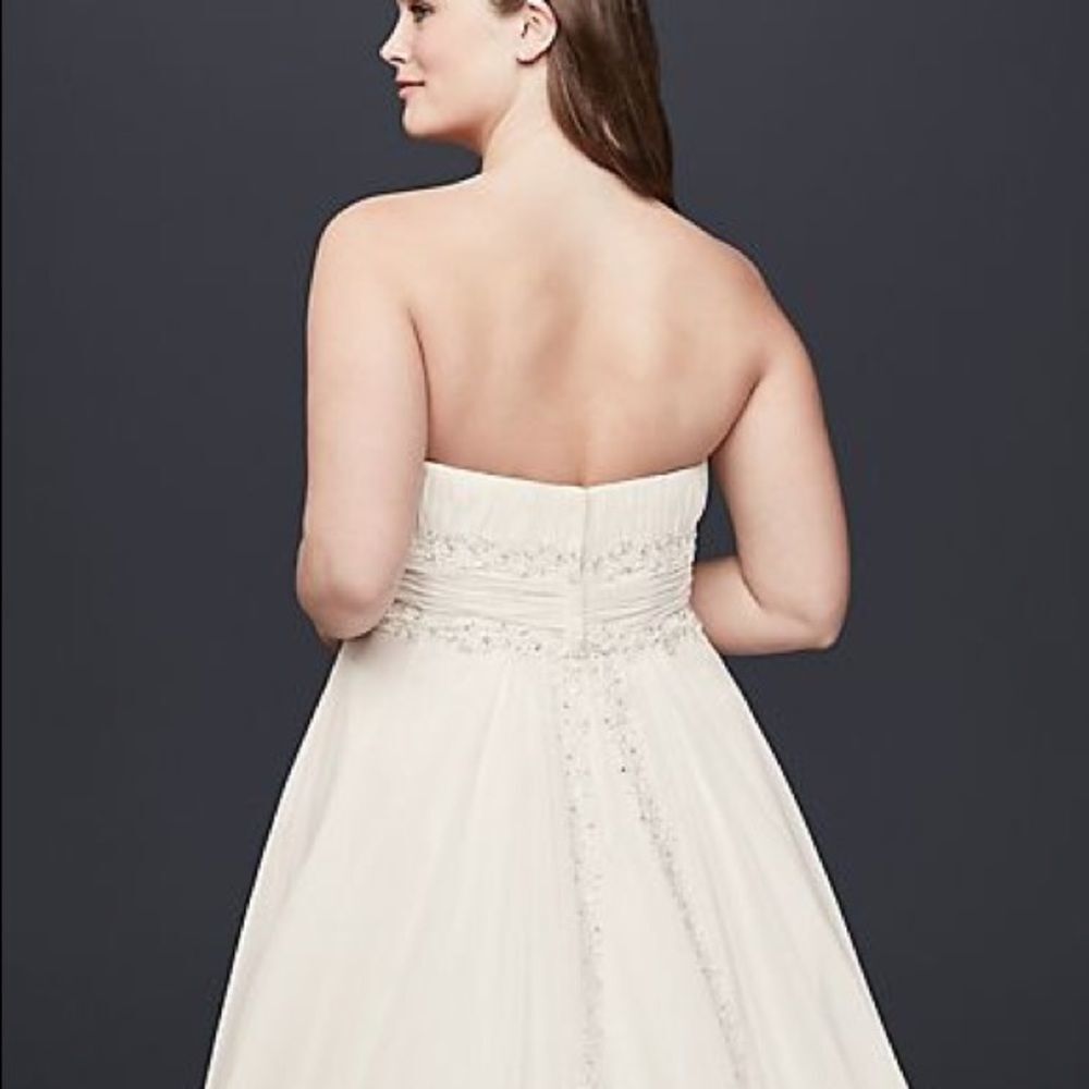 David’s Bridal Chiffon Beaded Empire Plus Size
Wedding Dress White size: 16W​​​ - Picture 3 of 14